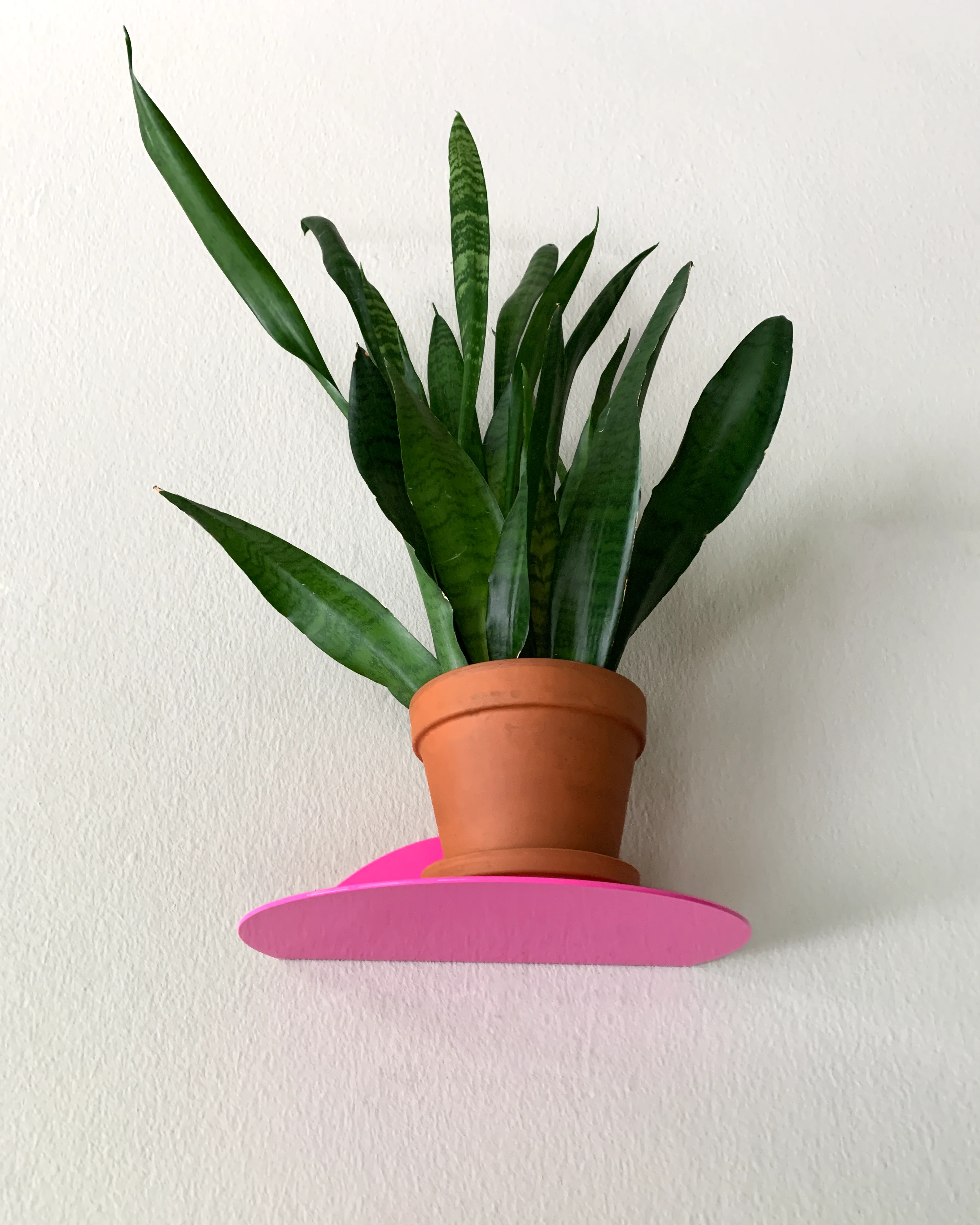 rundes regal / dot shelf neon pink - Image 2