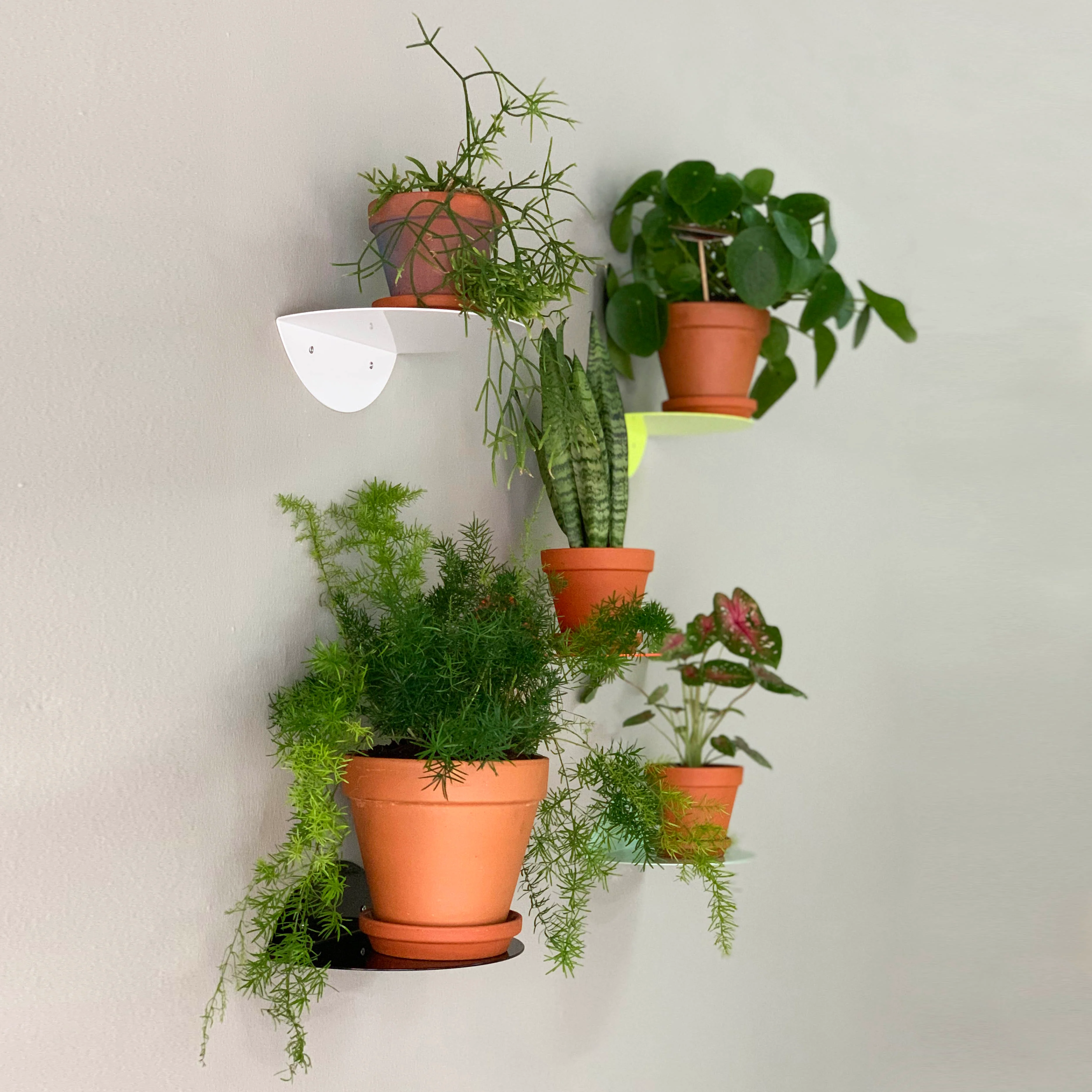rundes regal / dot shelf rosa - Image 4